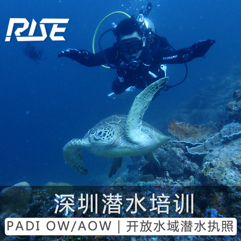 广东深圳大鹏padi潜水考证ow aow潜水执照培训课程